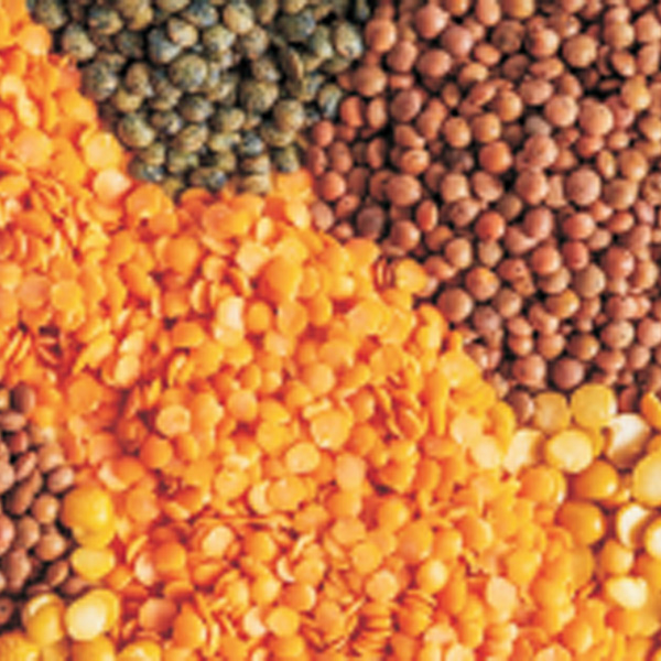 Lentils