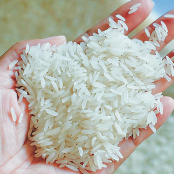 Rice